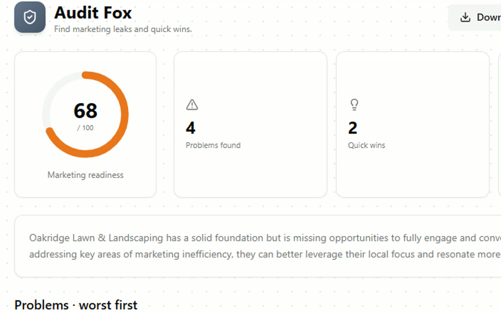 2. Run the Audit Fox screenshot